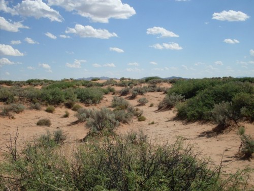 Dunes