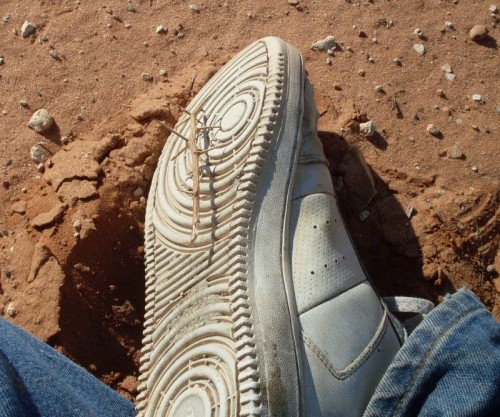Thorns in my shoe.