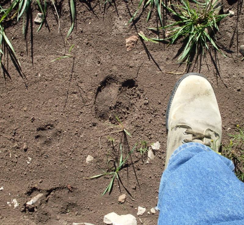 Tracks_9-14-08