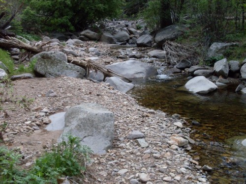 Stream_5-15-09 Stream.