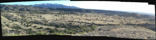 Grassy Panorama