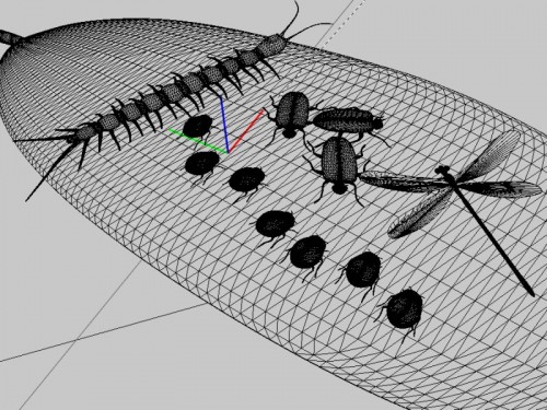 Info Bugs Wire