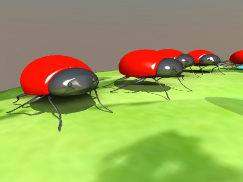 Info Bugs Ladybugs