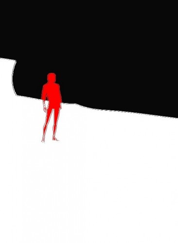 Manta Accidental Art