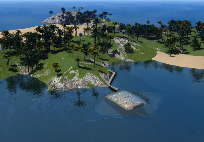 Manta Island Above