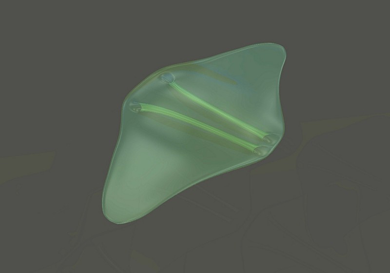 Manta Transp View